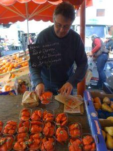 Premières fraises de l'année ! photo