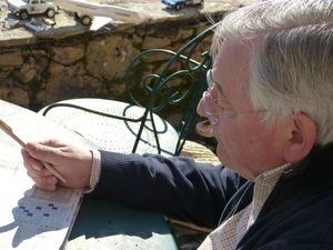 Premières fraises de l'année ! premières fraises 005