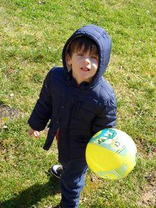 Premières fraises de l'année ! premières fraises 004