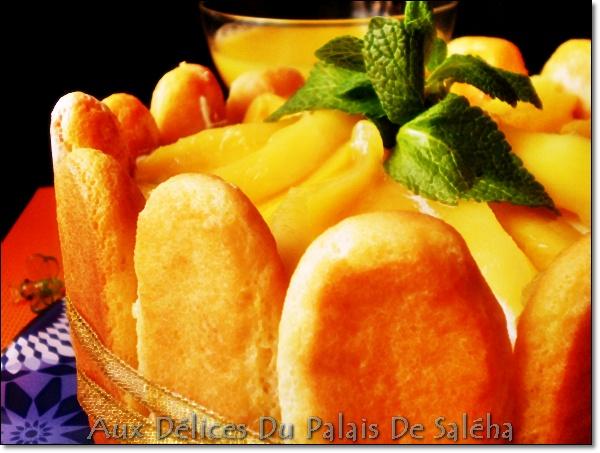 Charlotte Fondante Aux Mangues charlotte-fondante-aux-manguesP1052405.JPG