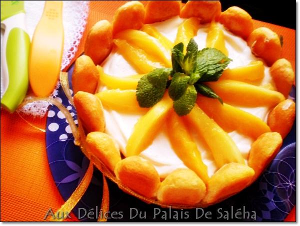 Charlotte Fondante Aux Mangues charlotte-fondante-aux-manguesP1052451.JPG