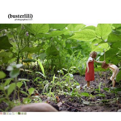 L'oiseau fait son nid, un site se construit L'oiseau fait son nid, un site se construit