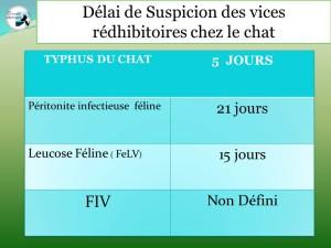 tableau_délai_suspicion_vices_rédhibitoires_chez_le_chat