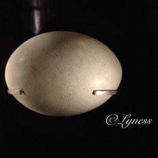 Instagram #2 (Février 2013) Instagram #2 (Février 2013)