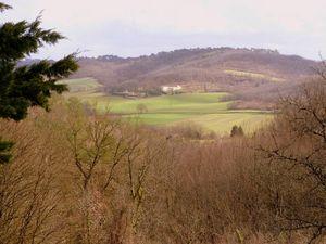 Besoin de soleil ! soleil 004