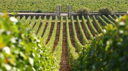 bouchard Les mains de France : La maison Bouchard