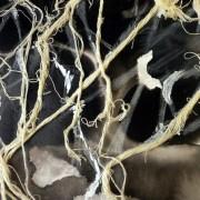 Pénélopée, matière à mémoire présente « Eloge du vide / Figure du plein » Edition 2012/13 Pénélopée, matière à mémoire présente « Eloge du vide / Figure du plein » Edition 2012/13