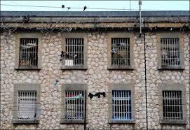 Actualité du 09/03/2013 images