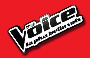 The Voice 2, prime 6 : les qualifiés, Keekee, Fanny Leeb, Thomas Vaccari (replay) the-voice-france.jpg