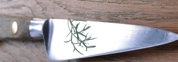 L’attaque des lasagnes surgelées! L’attaque des lasagnes surgelées!