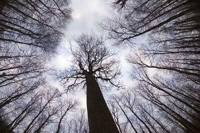 Il n'y a pas d'autre Il n'y a pas d'autre