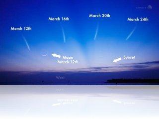 Positions attendues de la comète Panstarrs dans le ciel de début mars jusqu'à la moitié du mois. Crédit image : NASA.