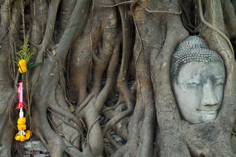 Balade photographique dans Ayutthaya dsc02934