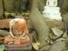 c-Wat Phra Mahathat c-Wat Phra Mahathat
