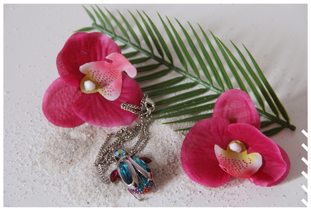 Le paradis tropical Le paradis tropical