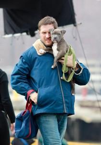 Animal Rescue : premières photos du tournage avec Tom Hardy PUPPY+LOVE+Tom+Hardy+shows+love+four+legged+3nLAjQAEbyCx