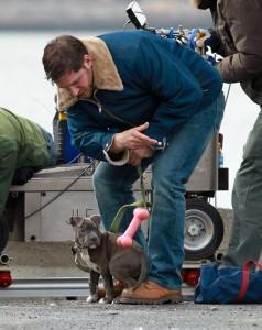 Animal Rescue : premières photos du tournage avec Tom Hardy PUPPY+LOVE+Tom+Hardy+shows+love+four+legged+jp2wjO9j7iyx