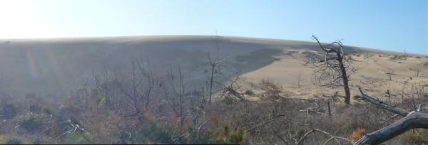 Dune : 1 – Forêt : 0 st trojan 9 3 13 (1)