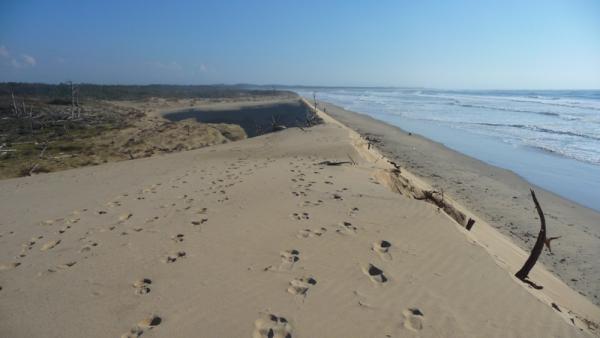 Dune : 1 – Forêt : 0 st trojan 9 3 13 (2)