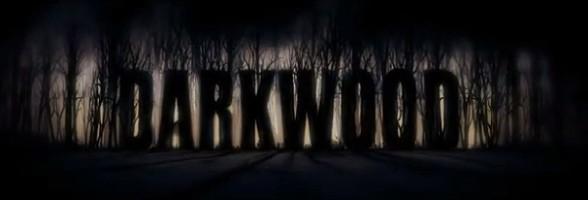 Darkwood : jeu d’horreur indépendant sans grosse nouveauté.
