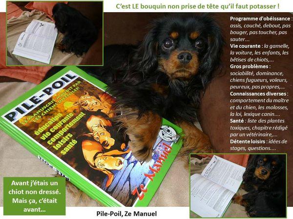 J'ai testé... Un canidé dans notre foyer : adopter un chiot (+ en bonus : réaliser un album photo avec Pixum.fr) livre dressage chien chiot pile poil ze manuel
