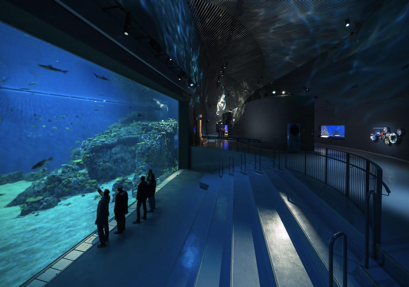 Den Blå Planet, le nouvel aquarium de Copenhague
