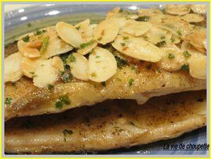 TRUITES AUX AMANDES 009