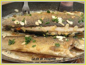 TRUITES AUX AMANDES 005