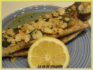 TRUITES AUX AMANDES 008