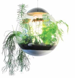 lustre végétal Babylone par Alexis Tricoire lustre végétal Babylone par Alexis Tricoire