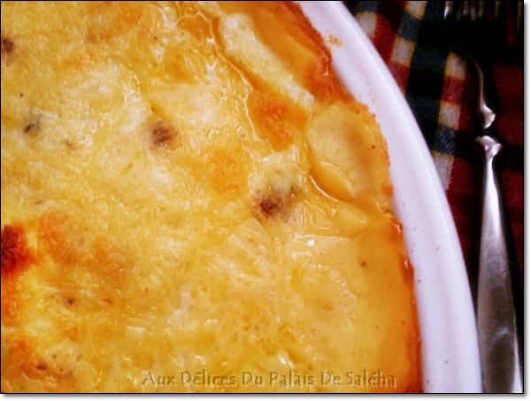 Gratin De Choux Fleur à La Sauce Béchamel recettegratin-de-choux-fleur-P1021267.JPG