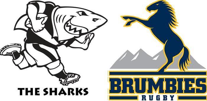 Sharks Brumbies Super Rugby