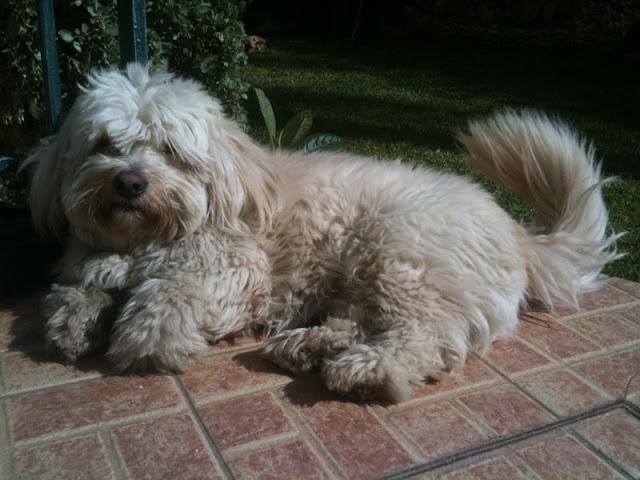 Q&A; n° 1 Q&A; n° 1