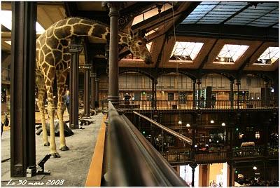 899. Promenades parisiennes #2 899. Promenades parisiennes #2