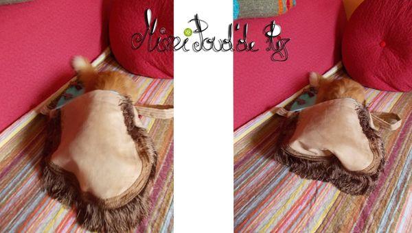 Du courrier Sans titre-2