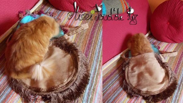 Du courrier Sans titre-1