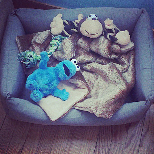 Ma semaine en photos #18 7-copie-3.png