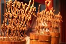 Pékin : un dîner dans les dédales de Wangfujing Pékin : un dîner dans les dédales de Wangfujing