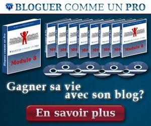 formation bloguer comme un pro Apprendre a bloguer comme un pro