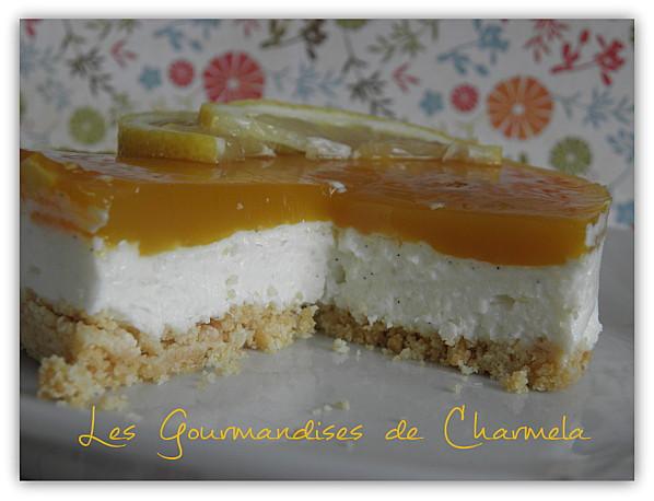 CHEESECAKE VANILLE ET FRUITS DE LA PASSION CUISINE-2011-2012-029.JPG