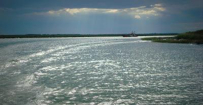 Camargue Camargue