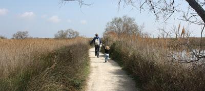 Camargue Camargue