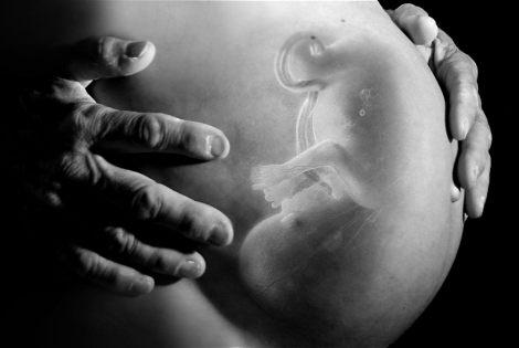Bébé dans le ventre de sa mère, vu par transparence