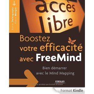 carte heuristique, carte mentale, mind mapping, freemind, xmind, boostez votre efficacité avec Freemind, xavier delengaigne, pierre morin