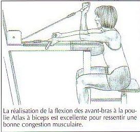 EXERCICE 7 DES BRAS