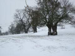 Promenade hivernale littérature