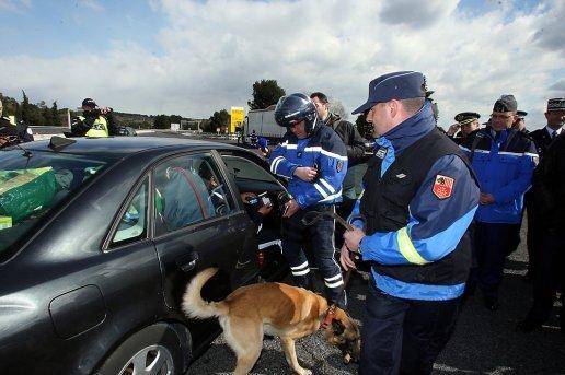 Contrôle en série sur 3 départements demonstration-de-forces-de-l-ordre-contre-les-trafics_289522_516x343.jpg