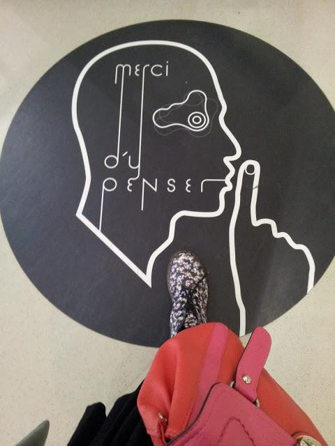 pigeons voyageurs pigeons voyageurs