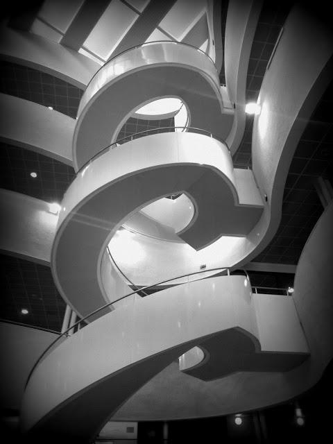 pigeons voyageurs pigeons voyageurs