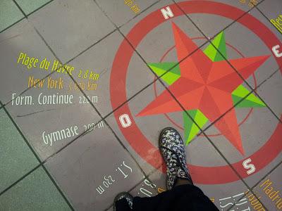 pigeons voyageurs pigeons voyageurs